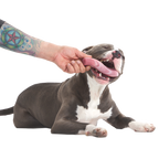 Dog Chew Toy product image 3