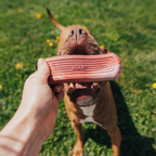 Dog Chew Toy product image 4