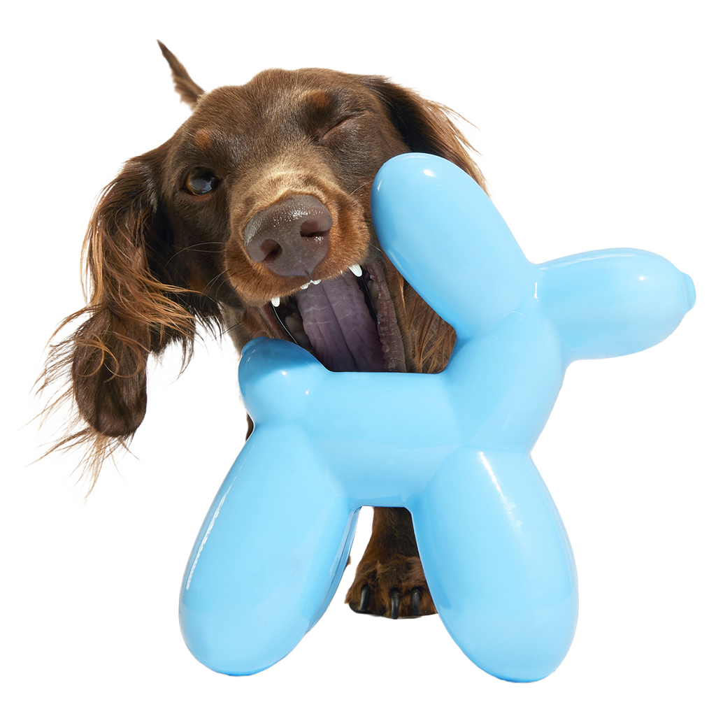 Rubber Dog Toy product image 2