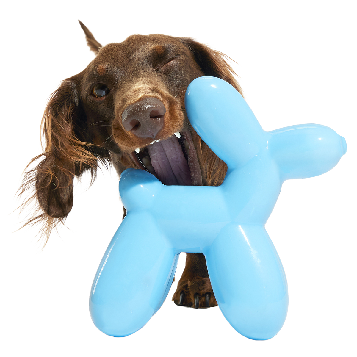 Rubber Dog Toy product image 2