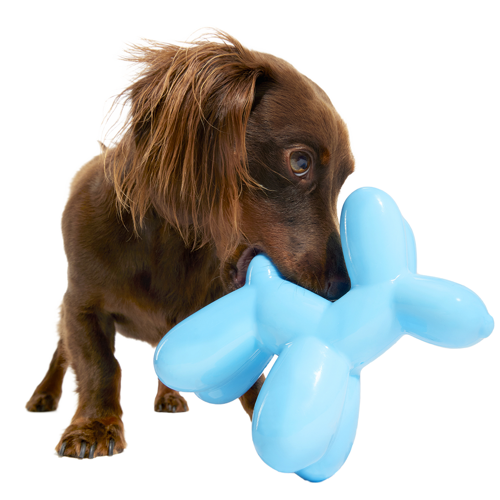 Rubber Dog Toy product image 3