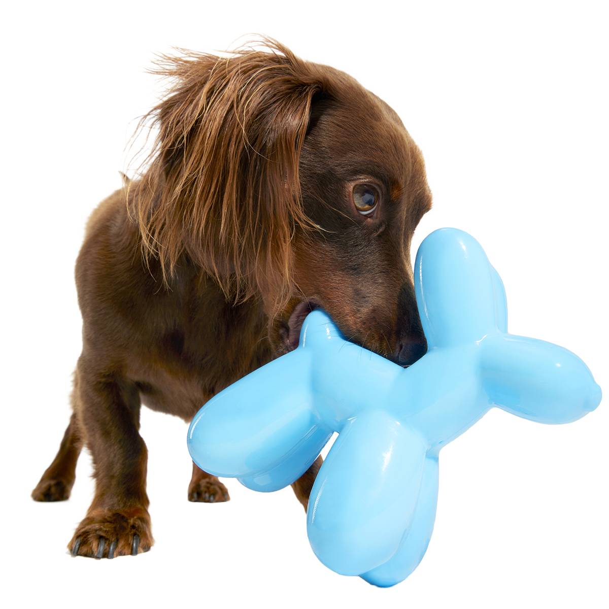 Rubber Dog Toy product image 3