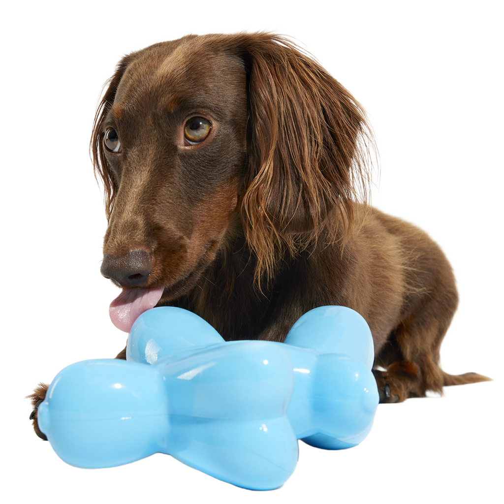 Rubber Dog Toy product image 4