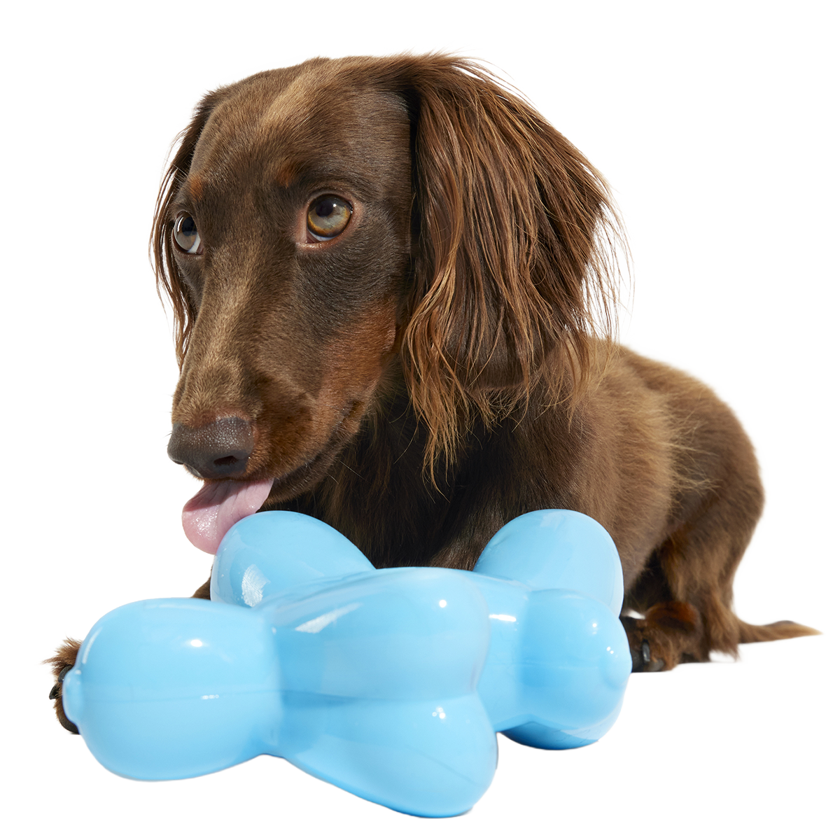 Rubber Dog Toy product image 4