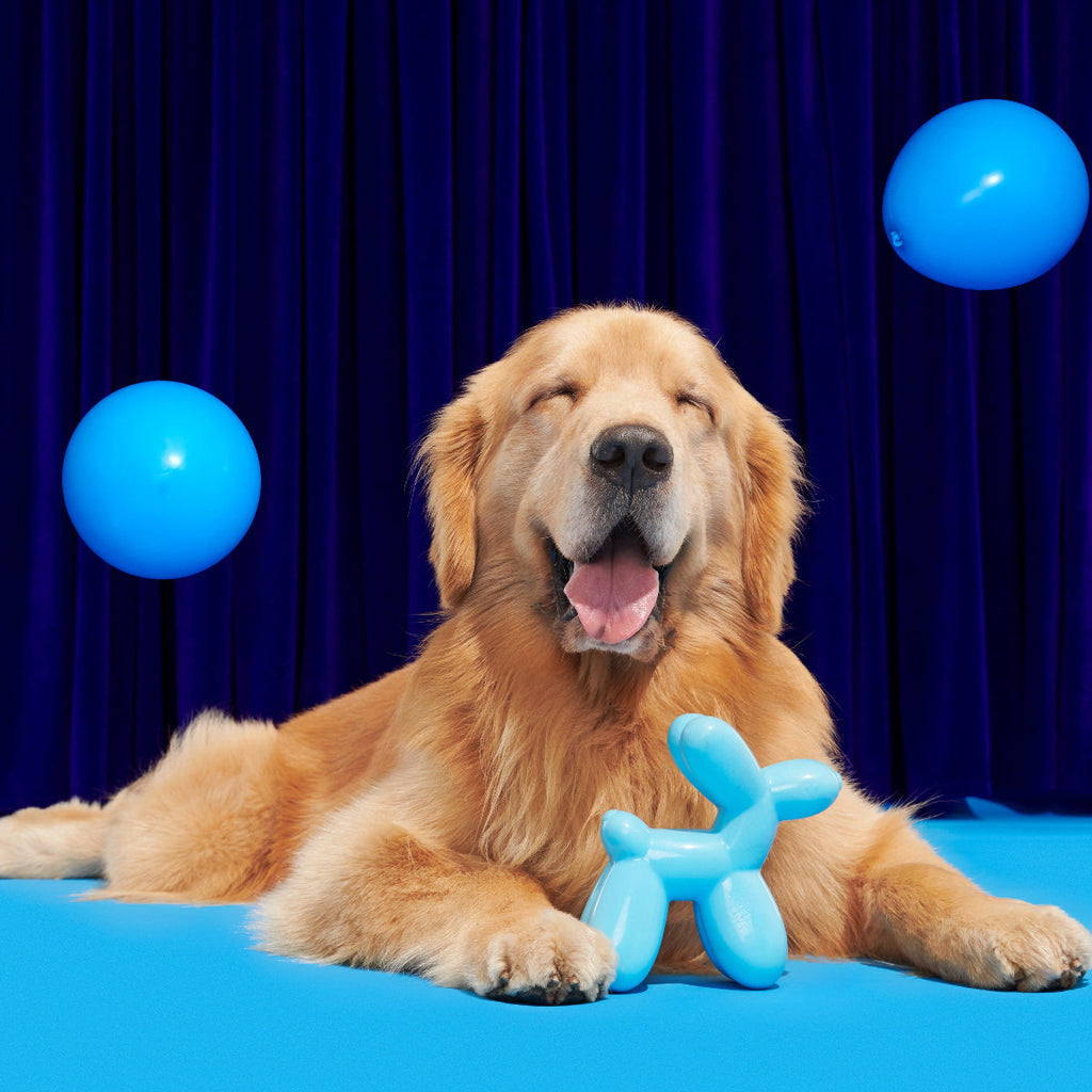 Rubber Dog Toy product image 5