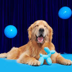Rubber Dog Toy product image 5