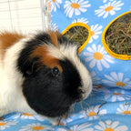 Small Animal Hay Bag product image 5