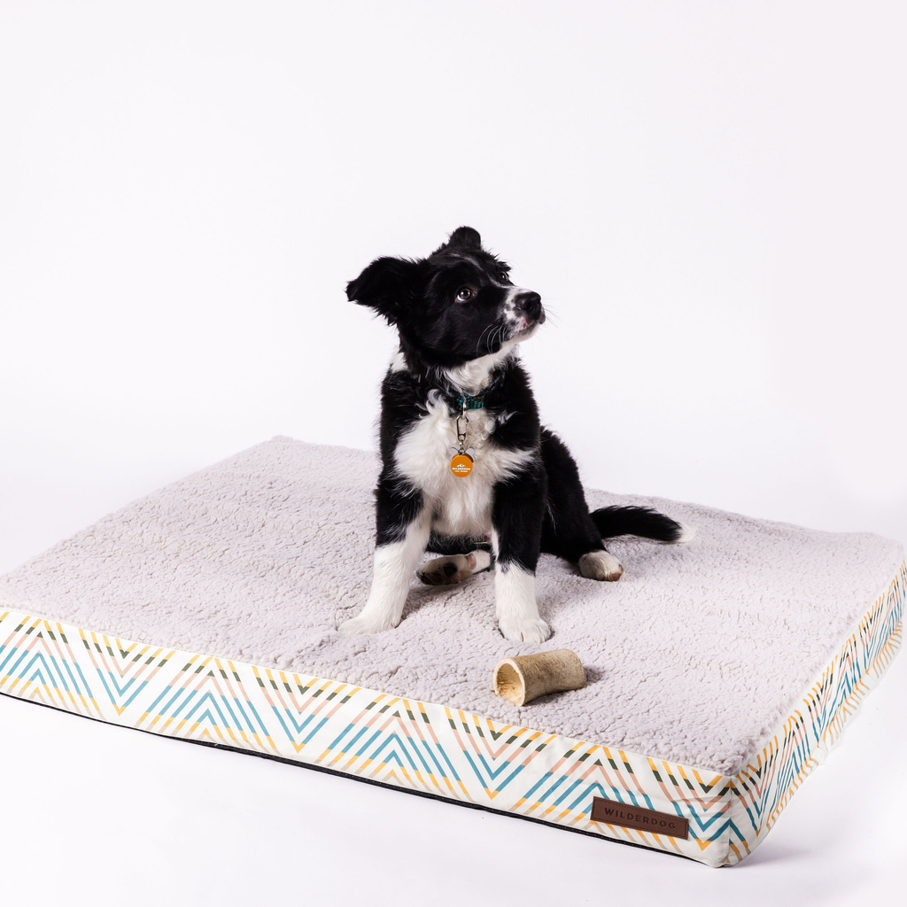 Memory Foam Dog Bed Cream