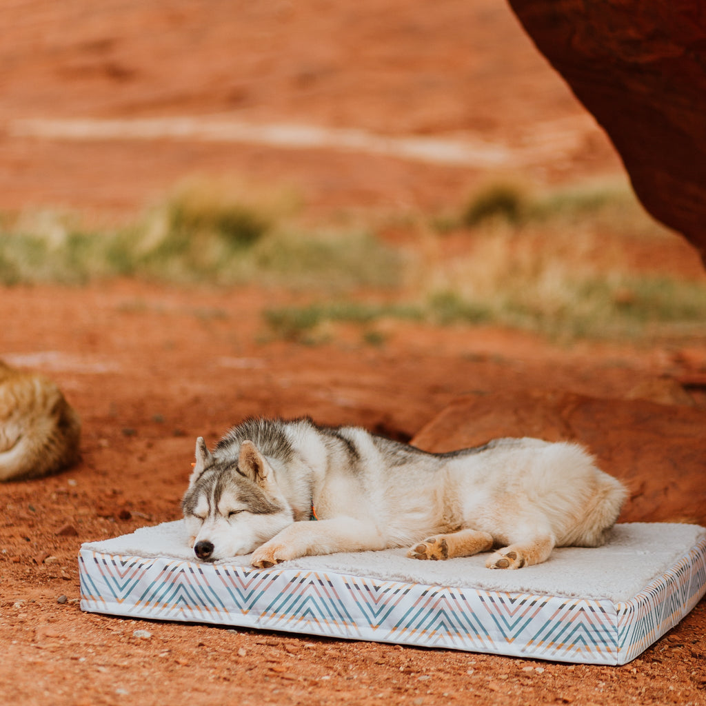 Memory Foam Dog Bed product image 4