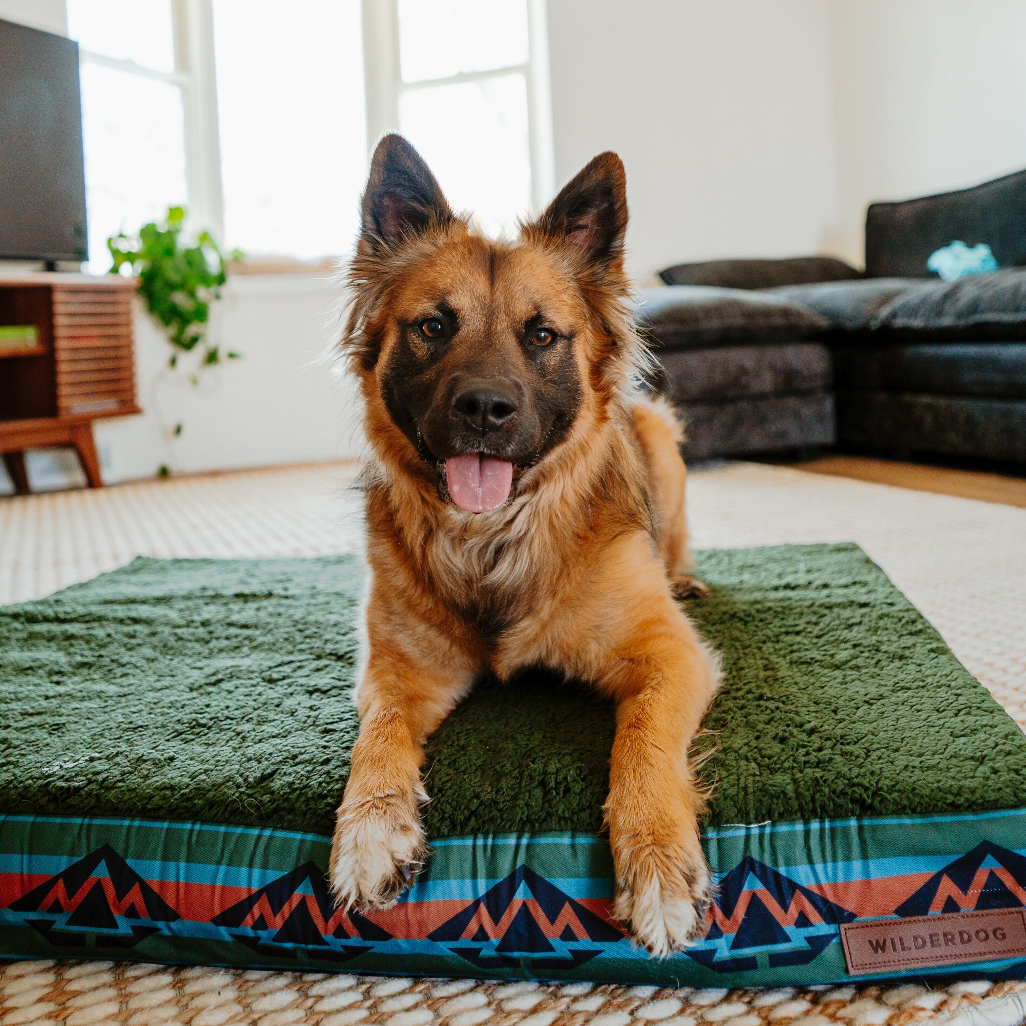 Memory Foam Dog Bed product image 5