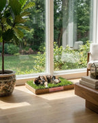 Natural Hydroponic Cat Grass Lounging Pad product image 1