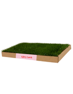 Natural Hydroponic Cat Grass Lounging Pad product image 3