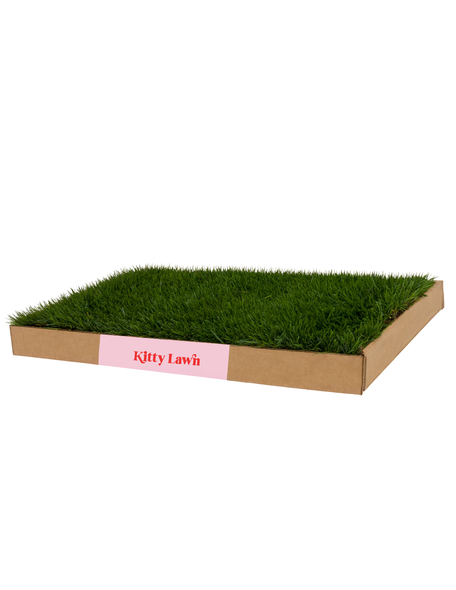 Natural Hydroponic Cat Grass Lounging Pad product image 3