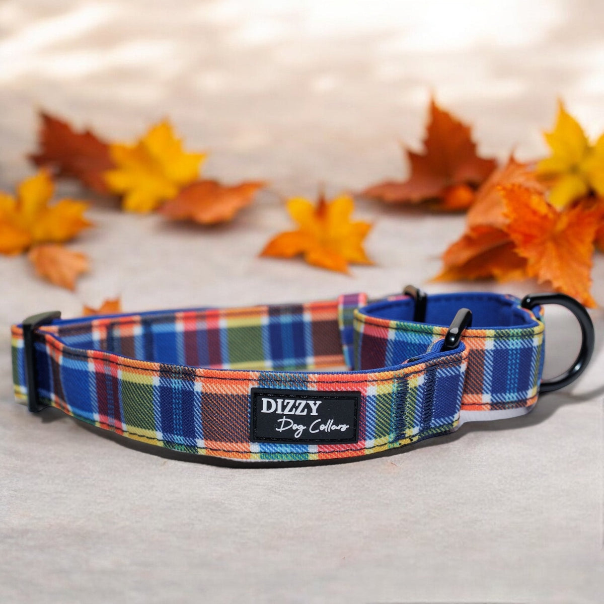 Martingale Dog Collar product image 1