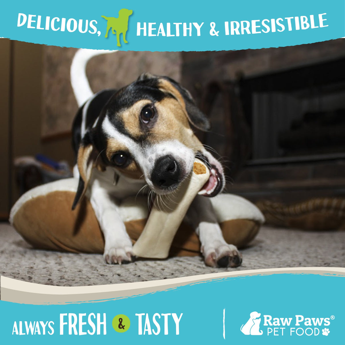 Dog Dental Chews product image 6