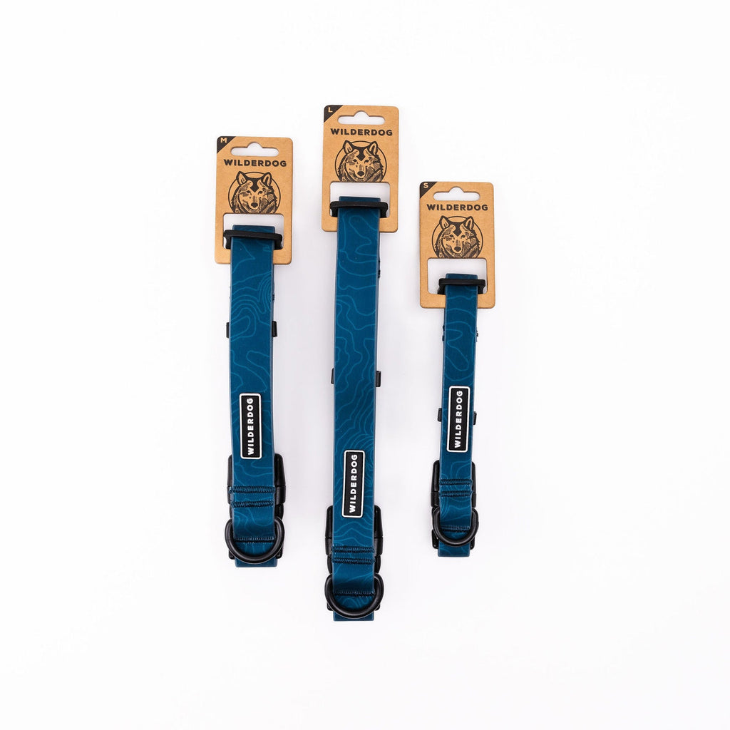 Waterproof Dog Collar product image 8