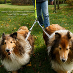 Double Dog Leash Coupler product image 2