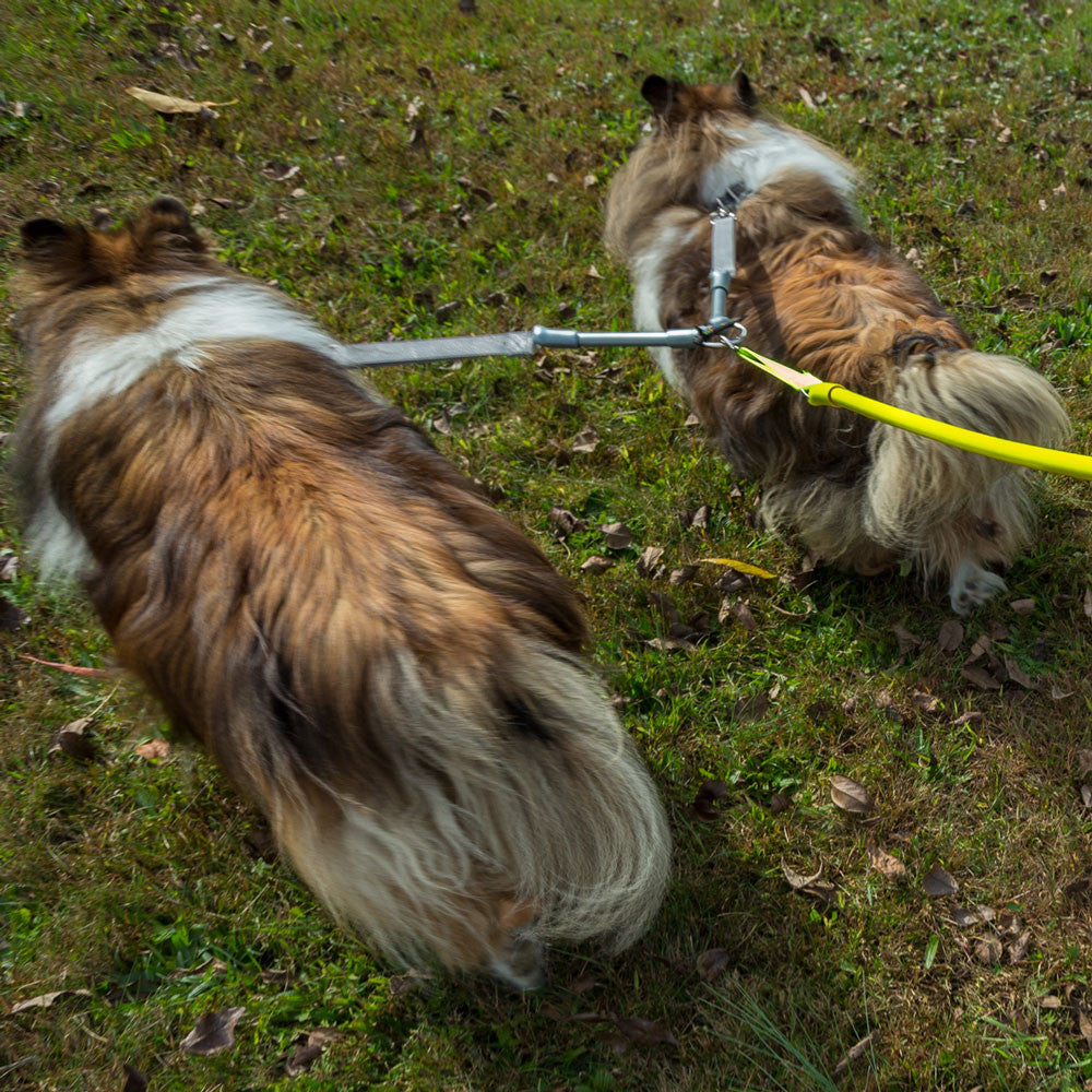 Double Dog Leash Coupler product image 3