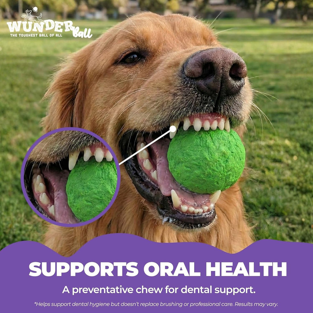 Dog Fetch Toy product image 6