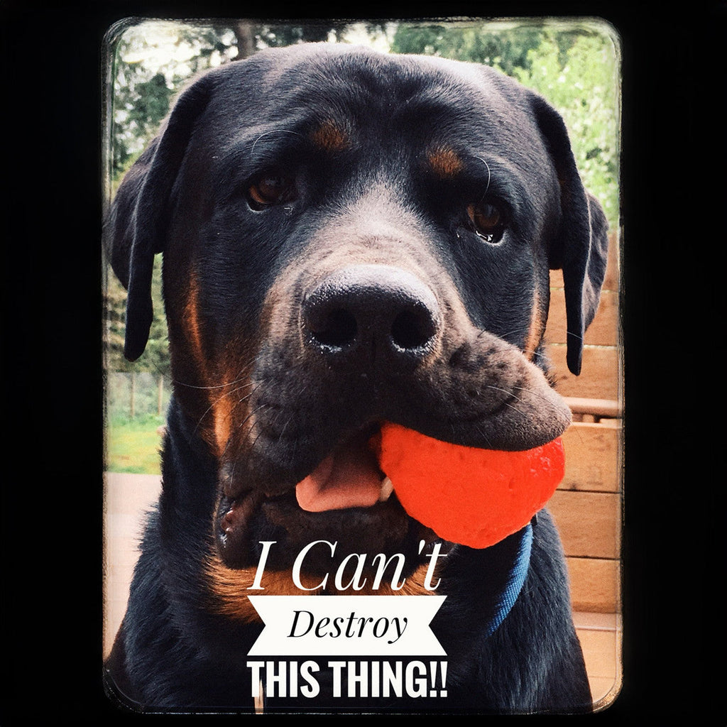 Dog Fetch Toy product image 10