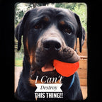 Dog Fetch Toy product image 10