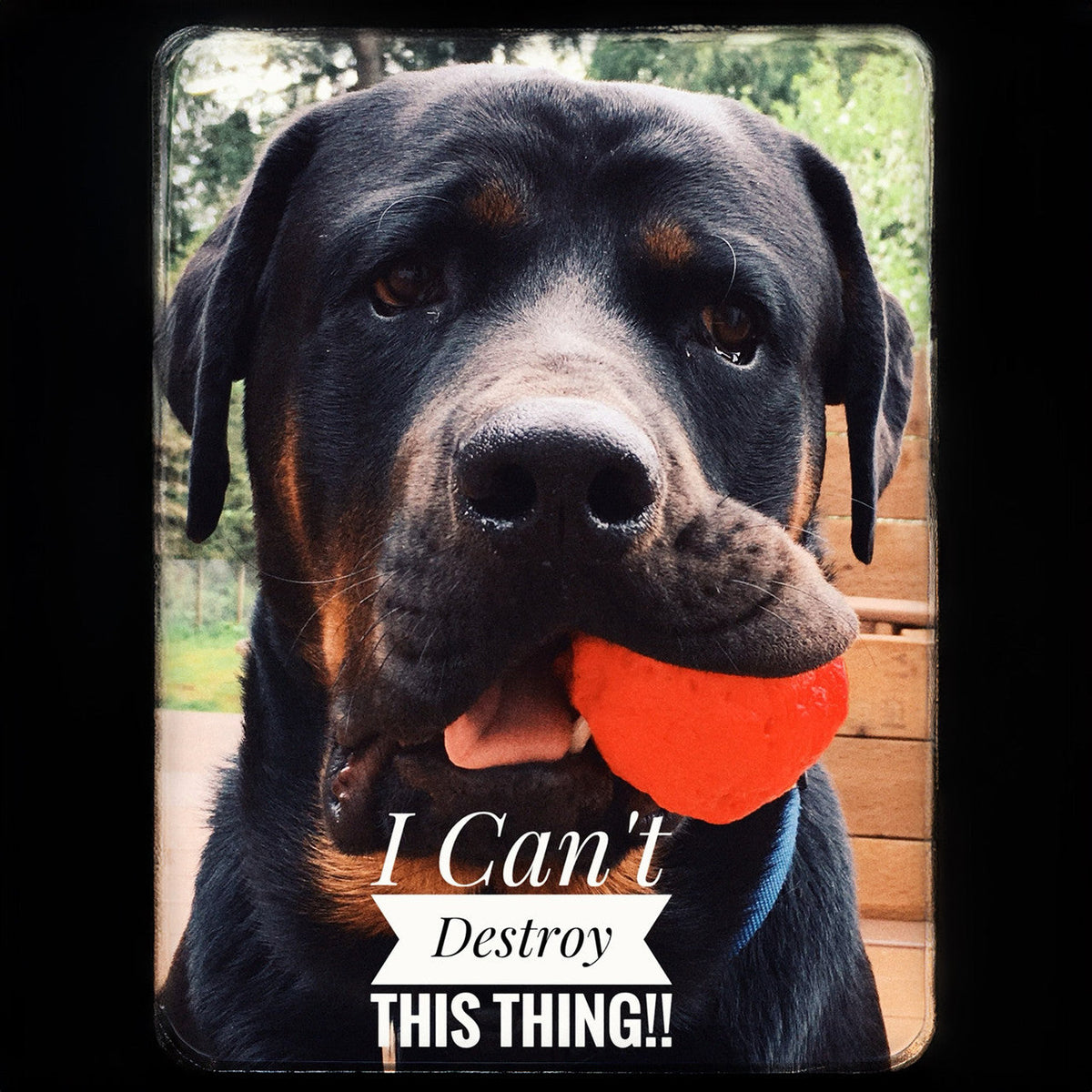Dog Fetch Toy product image 10
