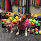 Dog Fetch Toy product image 11