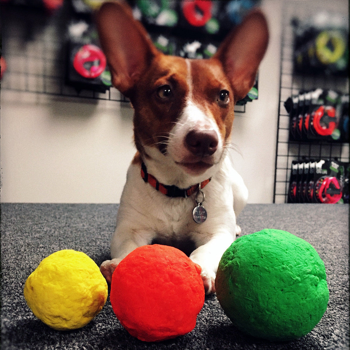 Dog Fetch Toy product image 15