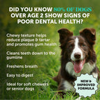 Dog Dental Chews product image 2