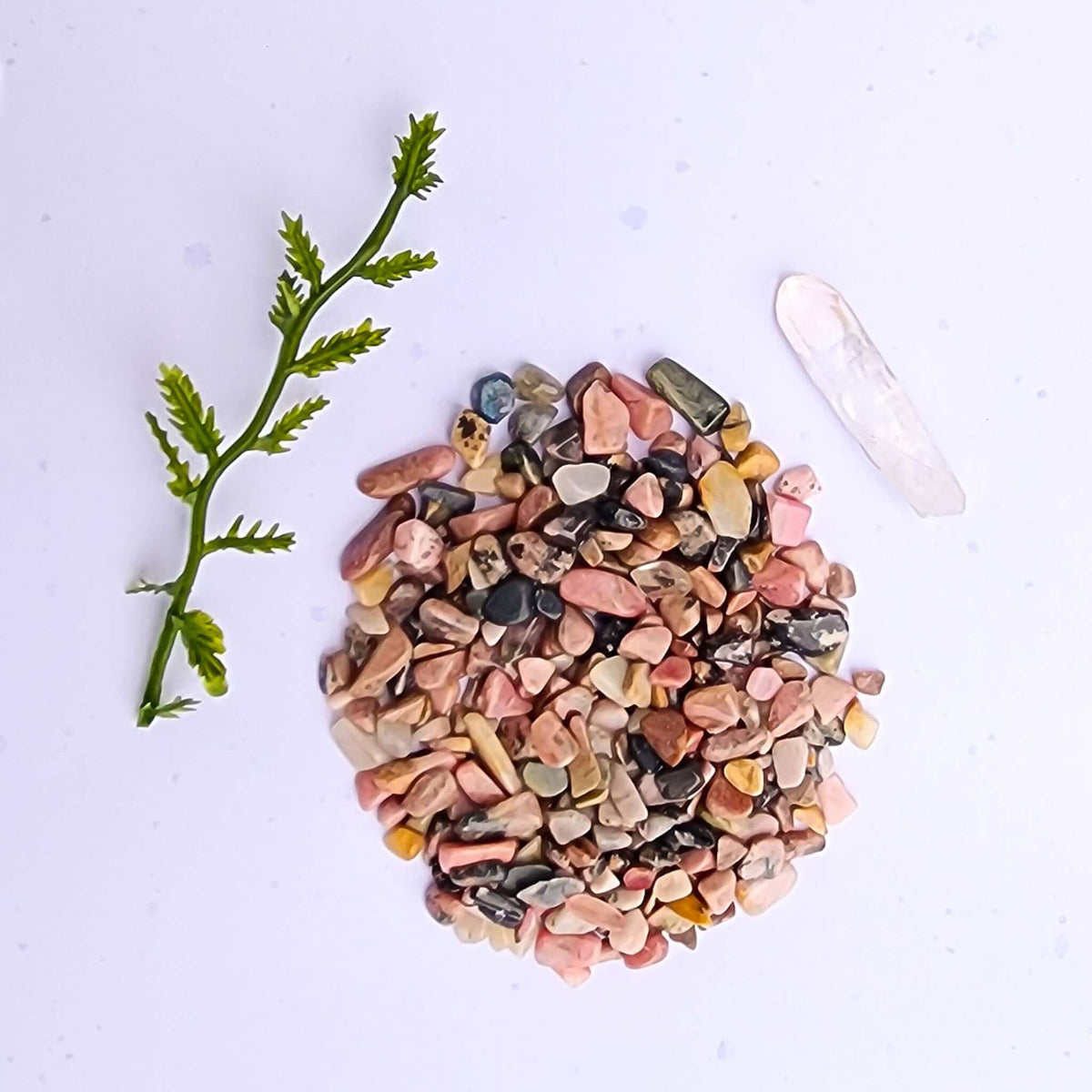 Marimo Moss Ball Terrarium product image 4