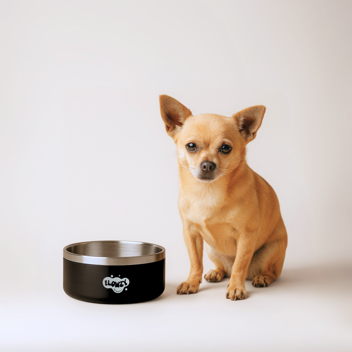 Dog Food Bowl product image 3