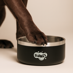 Dog Food Bowl product image 5