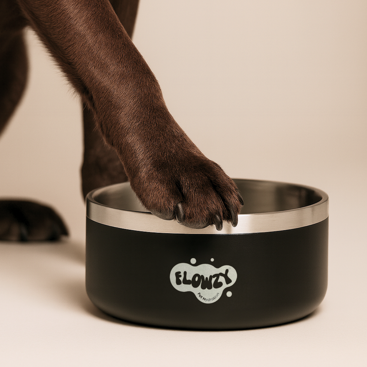 Dog Food Bowl product image 5