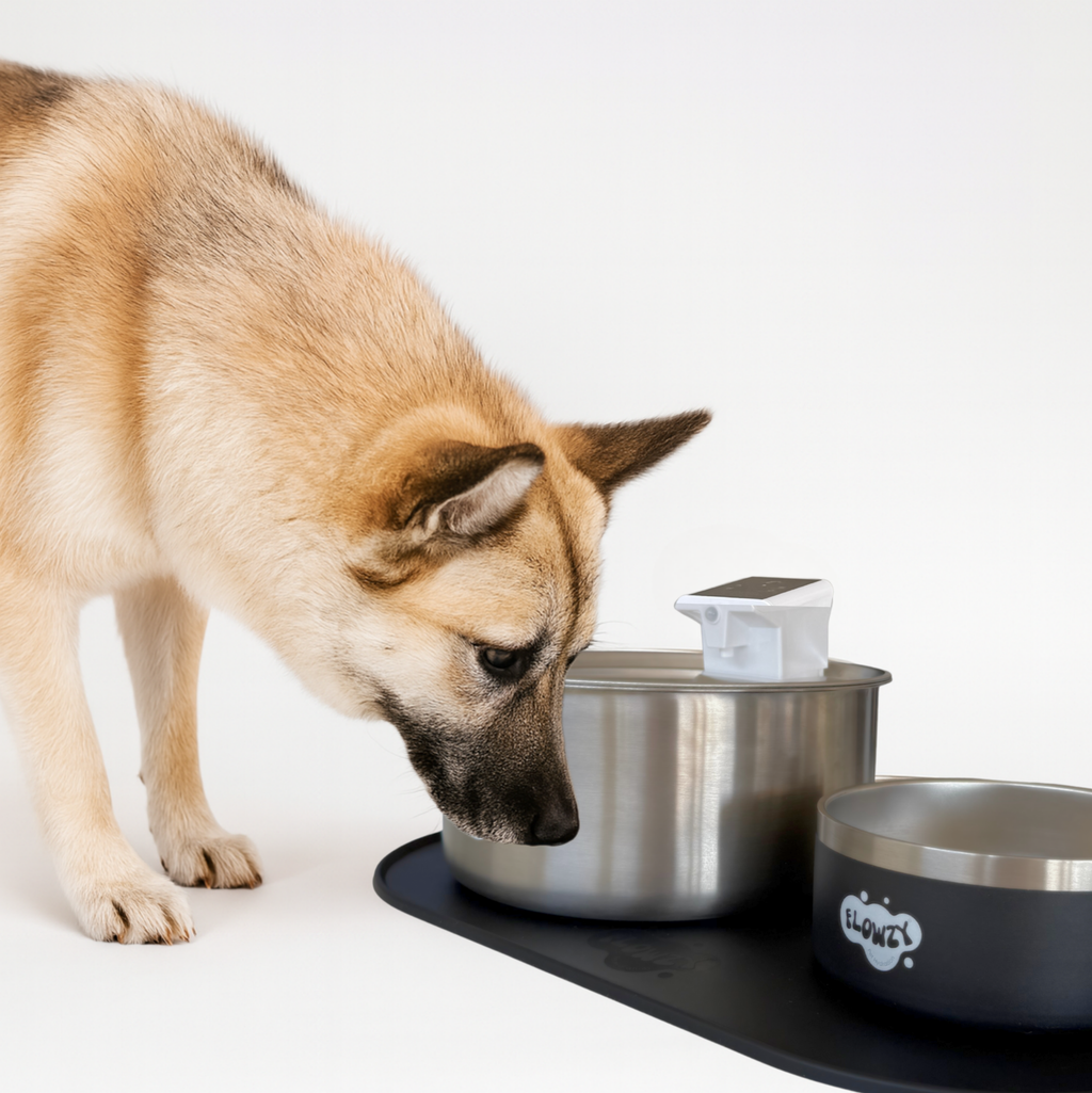 Pet Bowl Mat product image 2