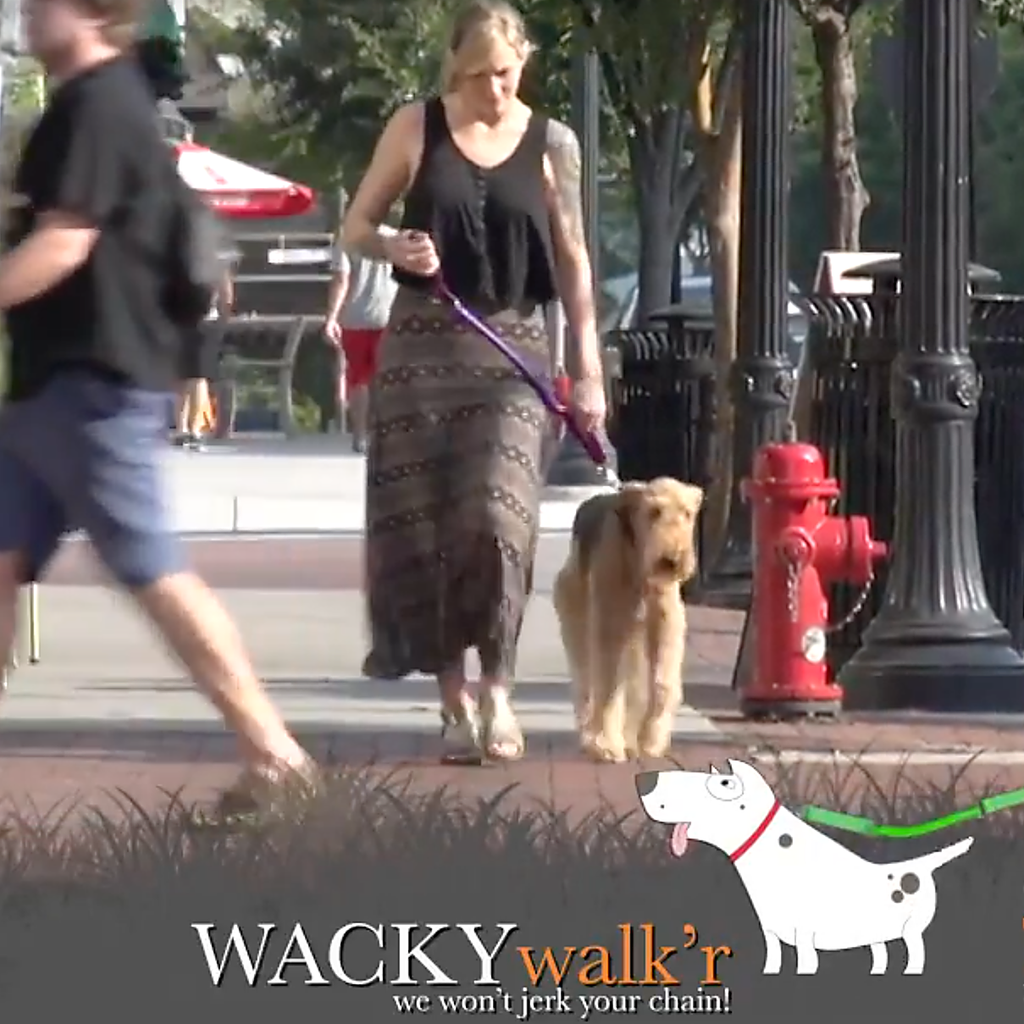 No-Pull Dog Leash product image 2