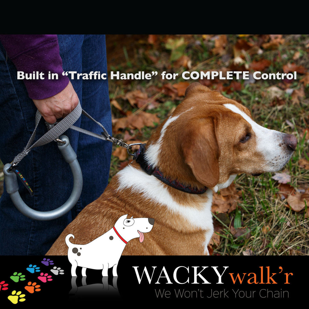 No-Pull Dog Leash product image 3