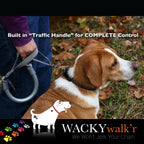No-Pull Dog Leash product image 3