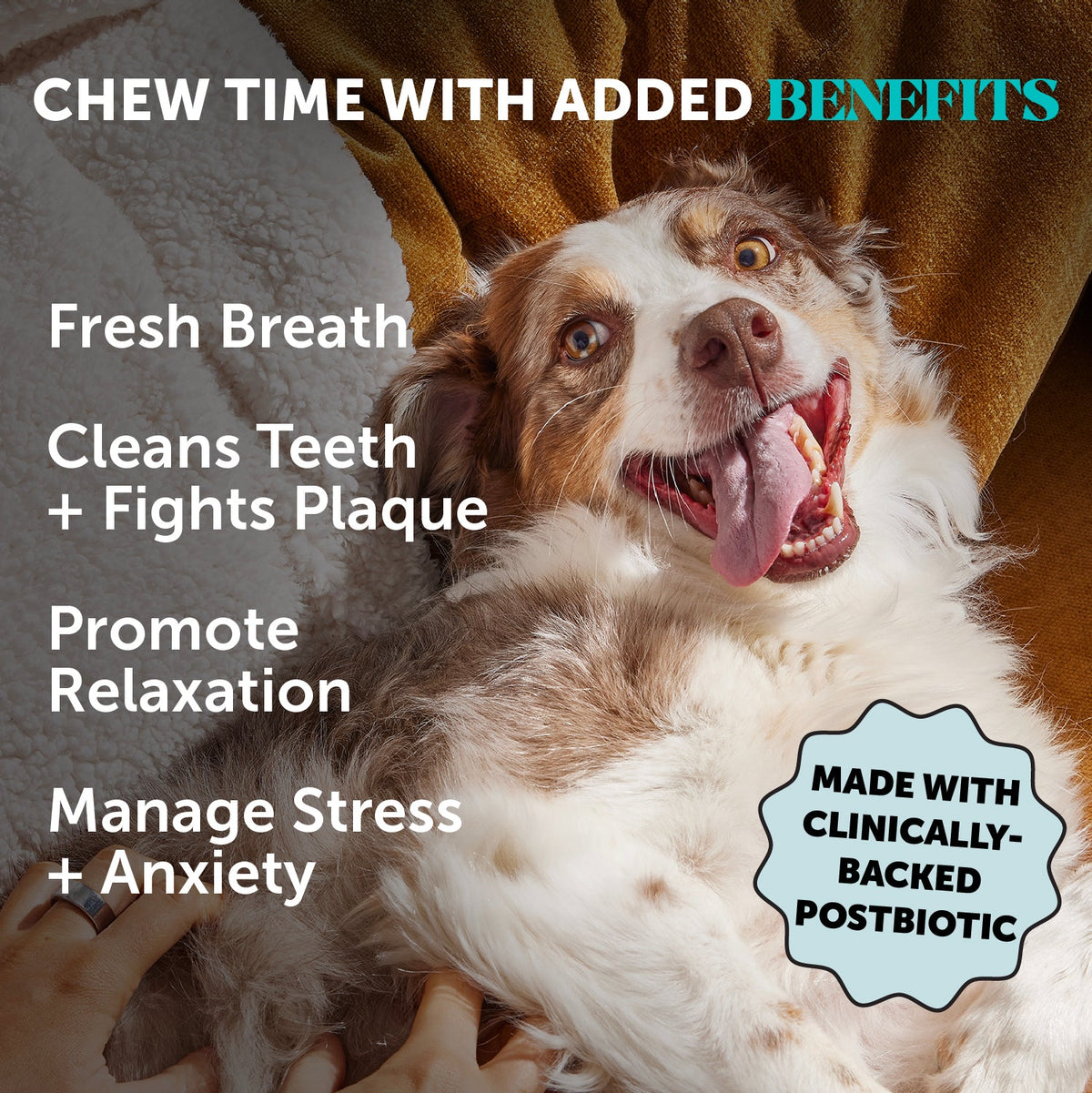 Dog Dental Chews product image 2