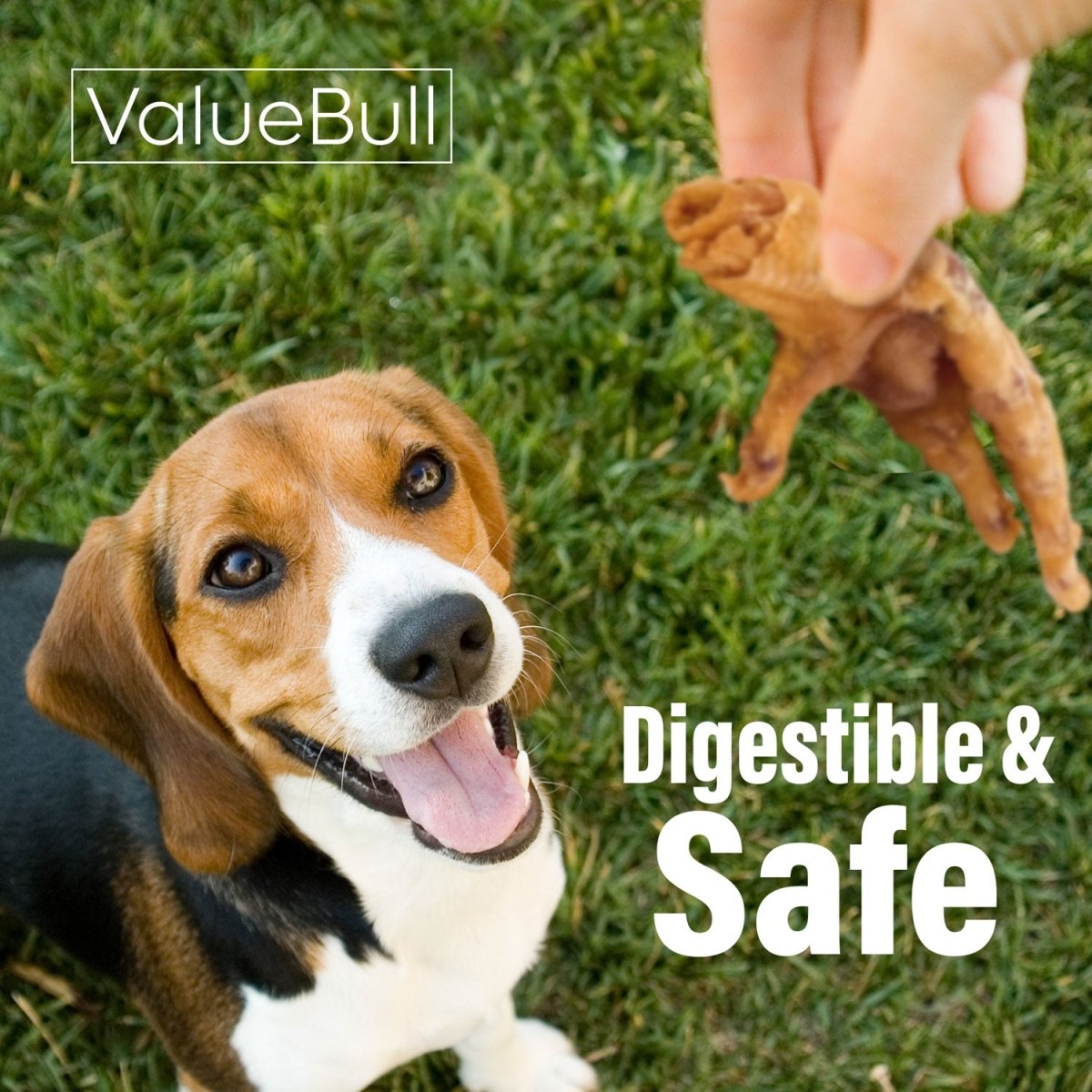 Chicken Feet Dog Treats product image 4