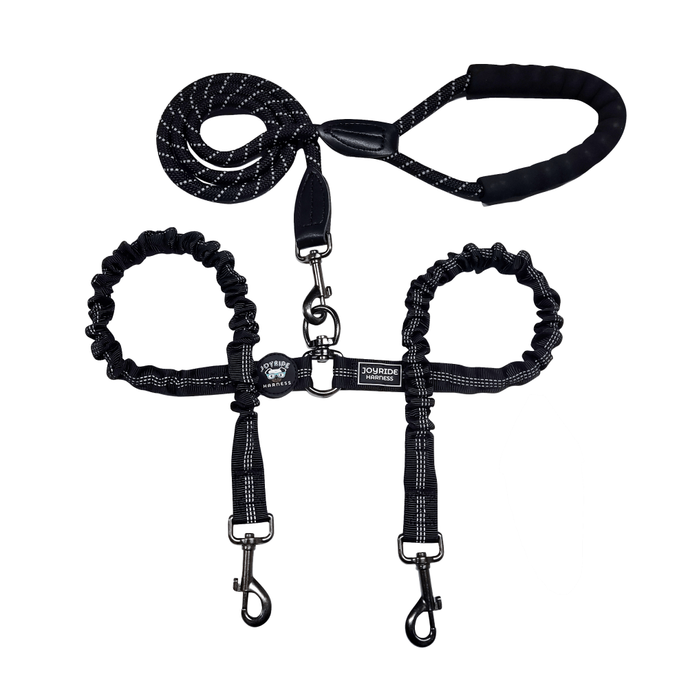 Dual Dog Leash product image 1