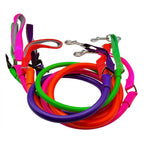 No-Pull Dog Leash product image 1