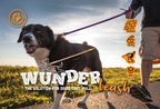 No-Pull Dog Leash product image 2