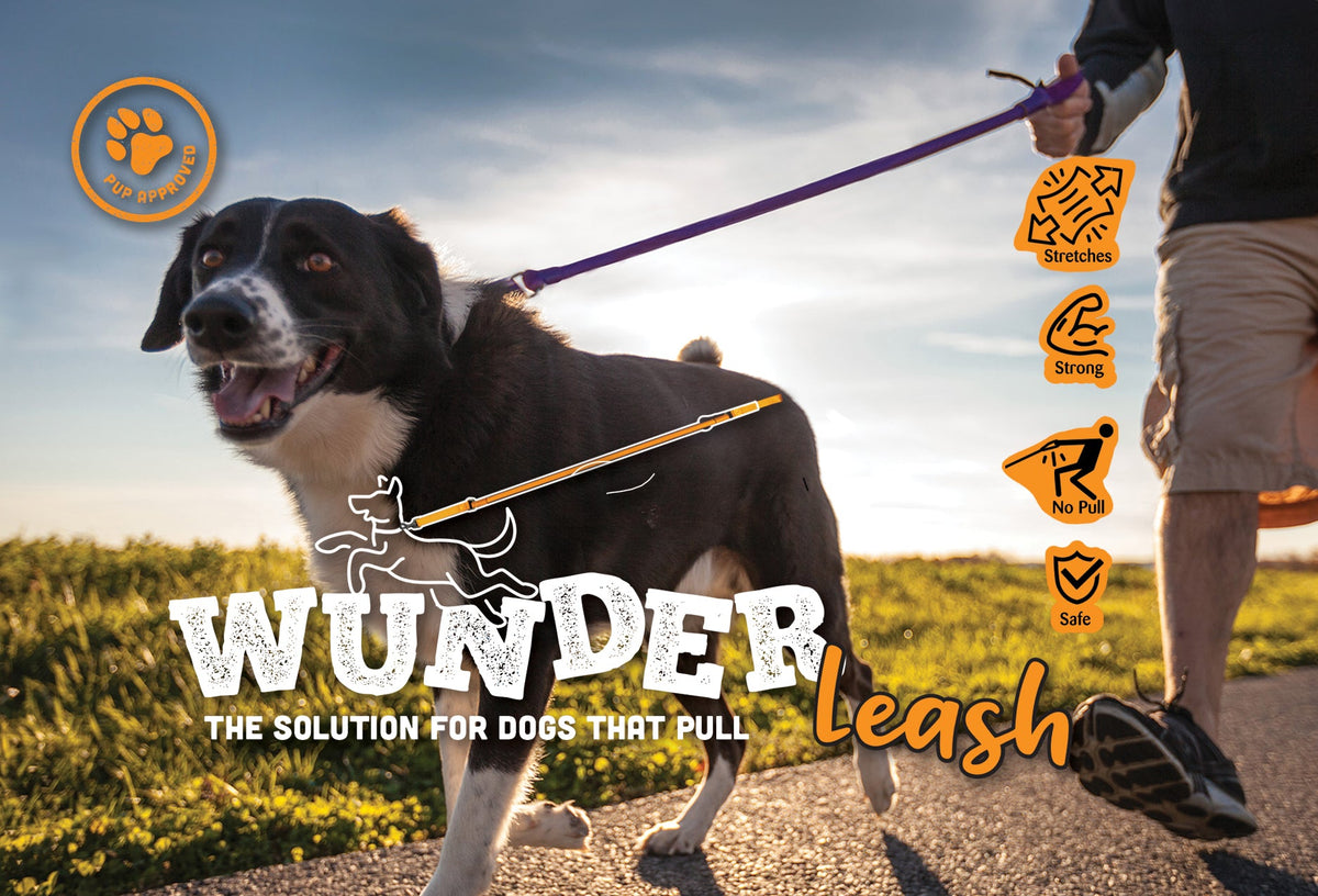 No-Pull Dog Leash product image 2