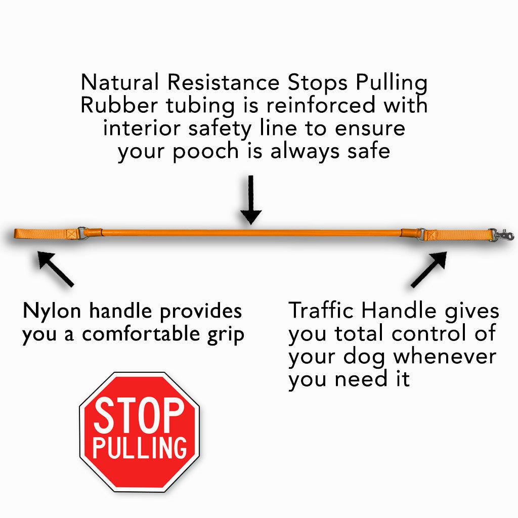 No-Pull Dog Leash product image 4