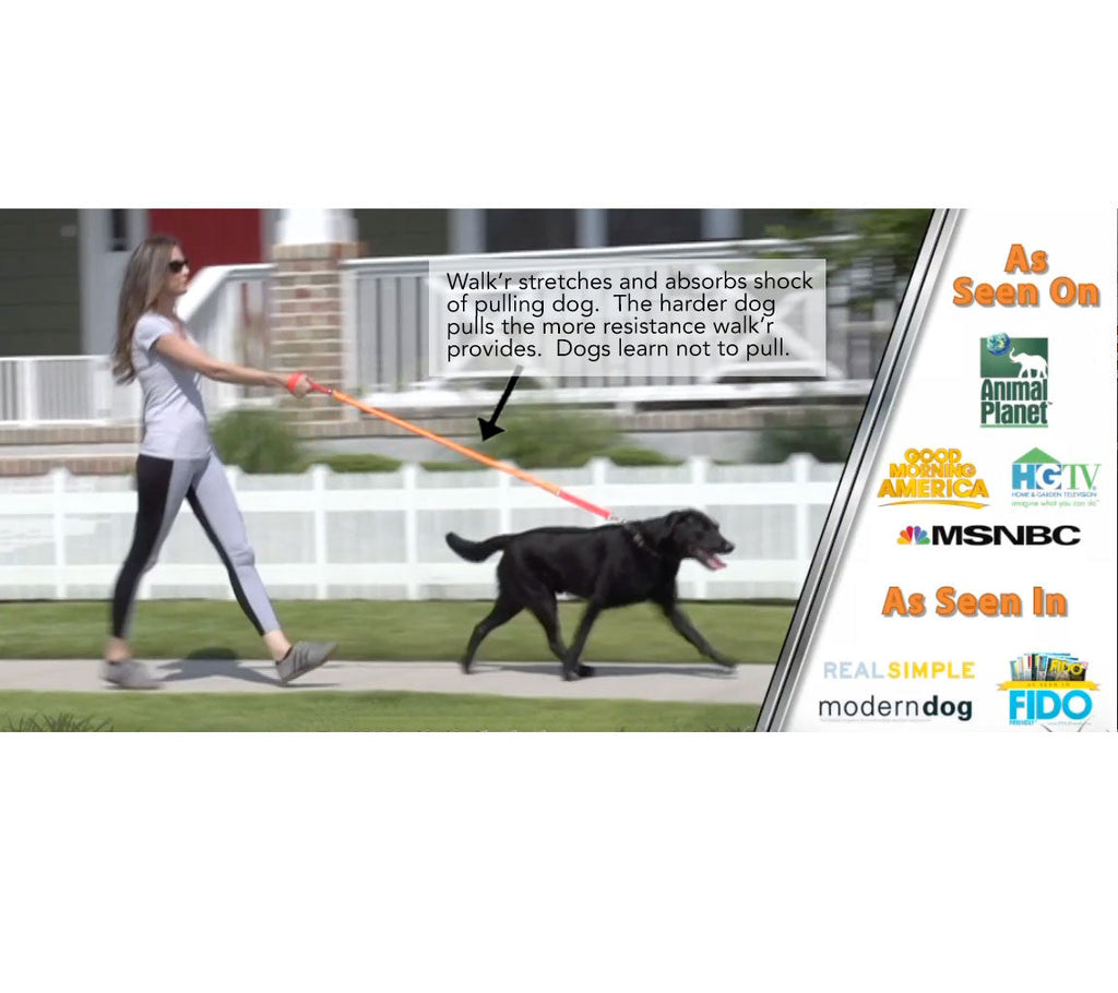 No-Pull Dog Leash product image 5