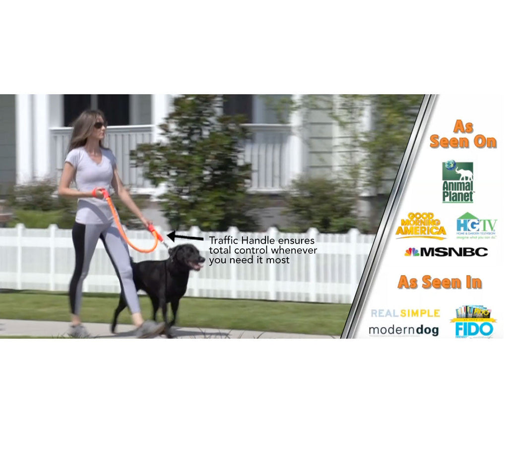 No-Pull Dog Leash product image 7