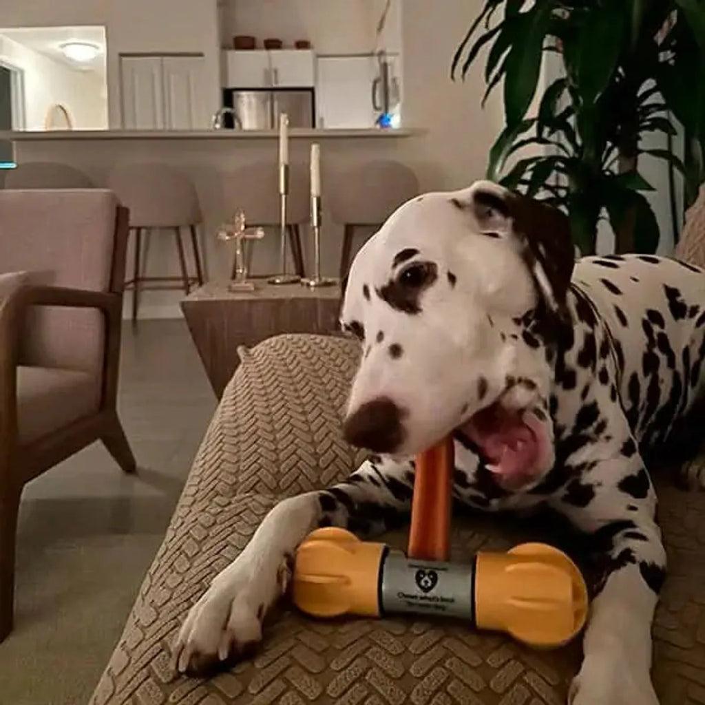 Pumpkin Himalayan Yak Chew for Dogs product image 2