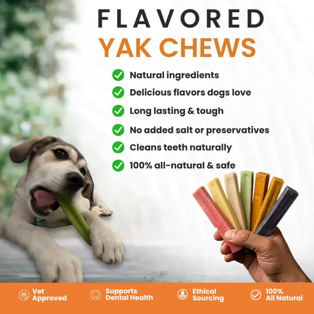 Pumpkin Himalayan Yak Chew for Dogs product image 6