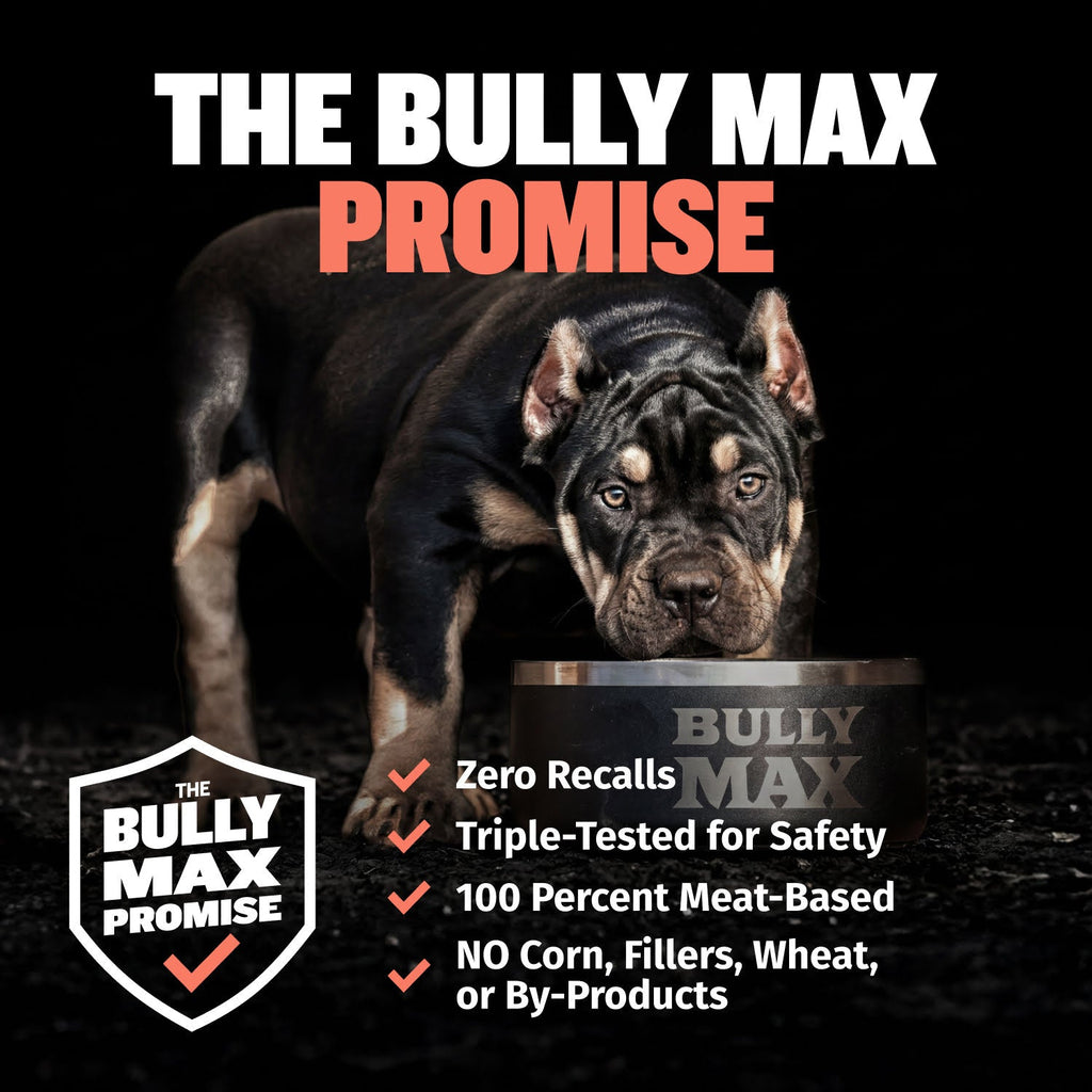 Soft Beef Puppy Training Treats product image 9