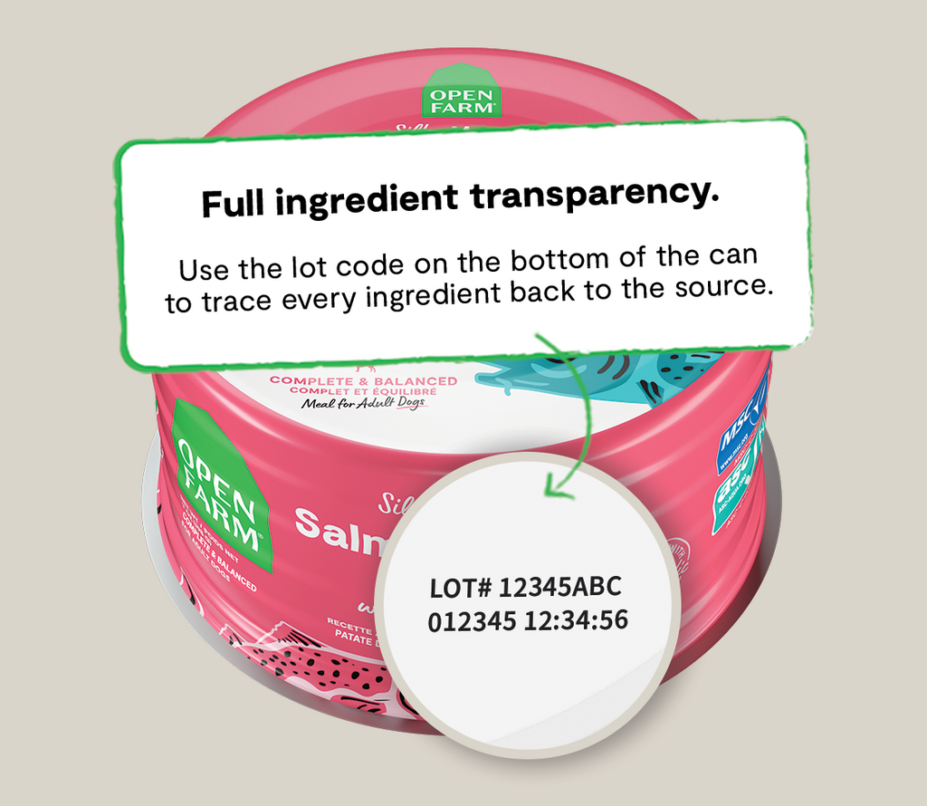 Wet Dog Food product image 4